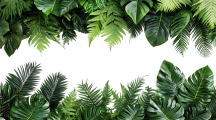 Tropical Leaf Border on Black Background