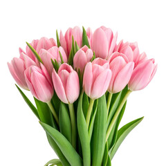 Fototapeta premium Bouquet of pink tulip flowers isolated on transparent background. Png