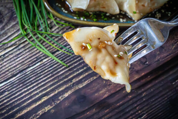 Gyoza. Dumplings. Prepared pieces of dough with meat and vegetable filling, with soy sauce.