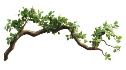 Decorative Branch with Lush Foliage