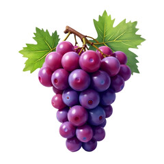 Fototapeta premium Purple-Grapes-Bunch-Fruit-Healthy-Food-Illustration