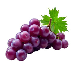 Fototapeta premium Red_Grapes_on_Vine_Healthy_Fruit_Delicious_Organic_Food