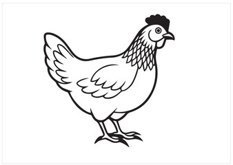 Hen vector illustration Design