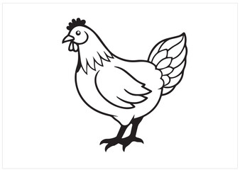 Hen vector illustration Design