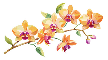 Naklejka premium Orchid flower, pink, yellow and purple, white background wallpaper, vector file