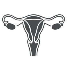 Uterus