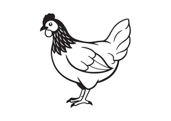 Fototapeta premium Hen vector illustration Design