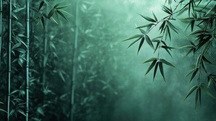 bamboo forest background