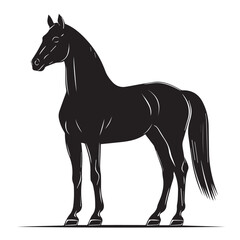 beautiful black silhouette of a horse standing on a white background, vector, graphics
