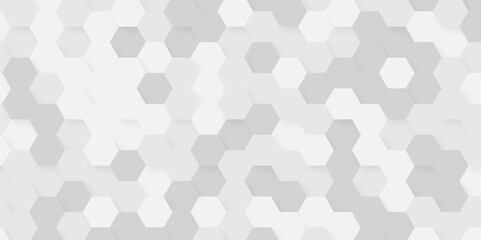 Abstract technology hexagonal background. Illustration of a white background with hexagonal template. White hexagon honeycombs background. Hexa gray Abstract Geometric Wide Banner Design.