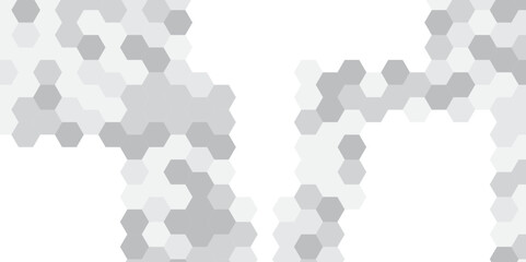 Abstract technology hexagonal background. Illustration of a white background with hexagonal template. White hexagon honeycombs background. Hexa gray Abstract Geometric Wide Banner Design.