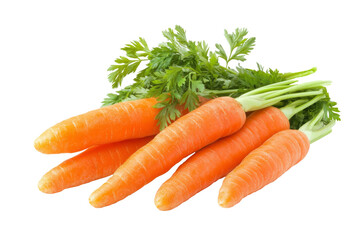 Fresh Organic Carrots