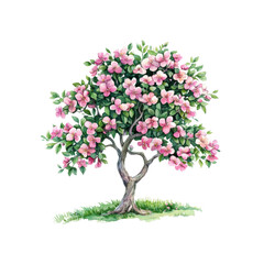 Fototapeta premium A vibrant tree displaying an abundance of pink blossoms amidst rich green foliage, showcasing natural beauty and elegance in a transparent setting.