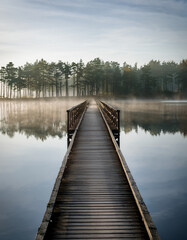 Naklejka premium A wooden Danish pier stretching over a foggy lake surrounded by dense pine trees under muted morning light