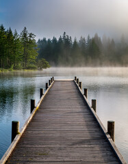Naklejka premium A wooden Danish pier stretching over a foggy lake surrounded by dense pine trees under muted morning light