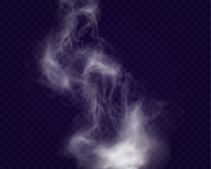 Realistic smoke on transparent background with soft swirling effect, misty fog, airy vapor, atmospheric haze, drifting smog, subtle steam, floating cloud, delicate fumes.
