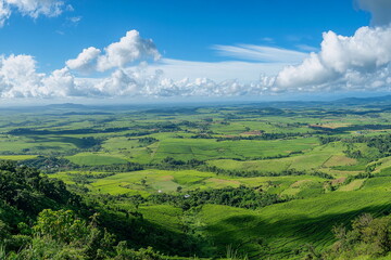 Obraz premium Sunrise over tea-covered mountains in Sri Lanka. Magical golden light highlights the landscape — ideal for travel posters, yoga retreats, or exotic destination promos.