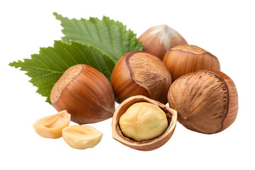 Natural Hazelnuts with Shell Detail for Ingredient.