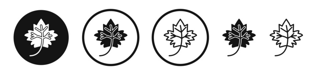 Maple Leaf icon set. vector icons for apps and website ui design