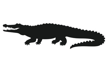Obraz premium A natureal crocodile silhoutte illustration art design with a white backraund