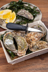 Box with fresh live raw Fine de Claire Oleron oysters seashells served oyster-farming village, Marennes Oleron area, France