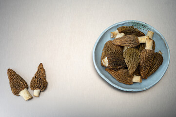 Raw spring mushrooms morchellas or true morels edible sac fungi for gourmet cooks, in Catalan and French cuisine