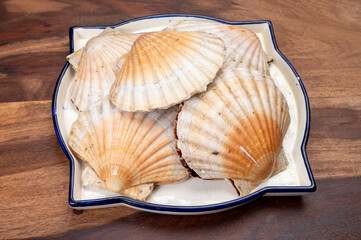 Atlantic bay scallops coquille St. James sea shells, in shells and cleaned, catch of the day in Normandy or Brittany, France on fish market