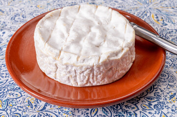 French soft Camembert cheese, original Camembert de Normandie made from raw unpasteurised cow milk