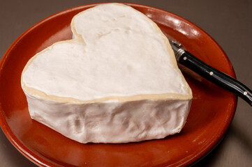 Cheese collection, French cheese from Normandy region, heart-shaped neufchatel from farm shop close up