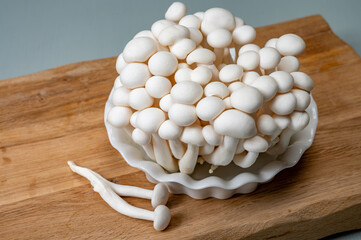Fresh white shimeji edible mushrooms native to East Asia, buna-shimeji is widely cultivated and rich in umami tasting compounds