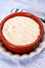 French dauphinois cheeses collection, Saint-Marcellin, Saint- Felicien cow's milk cheese with white mold from Rhône-Alpes region of France