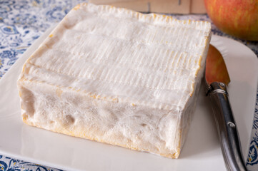 French squared pont l'eveque cow cheese from Calvados department, Normandy, France