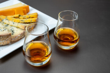 Whiskey and cheese pairing, tasting speyside whisky glasses and plate with sliced cheddar, blue stilton and blue shropshire cheeses, Great Britain food and drink