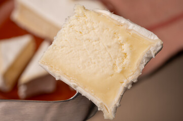 Cheese collection, French cheese from Normandy region, heart-shaped neufchatel from farm shop close up