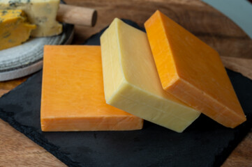 British cheeses collection, Scottish coloured and English matured cheddar cheeses
