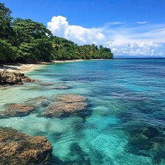 Fototapeta premium A tropical island coastline with a coral reef