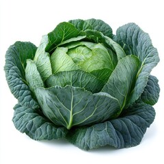 Fototapeta premium Fresh Green Cabbage: A Vibrant and Healthy Vegetable