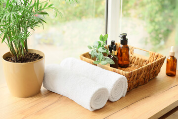 Bath supplies with palm on commode near window in room, closeup