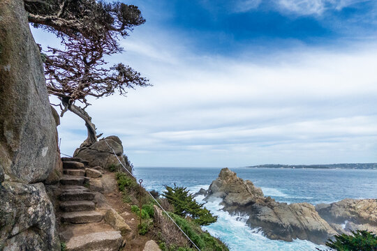 Scenic coastal landscape at Point Lobos State Natural Reserve, California