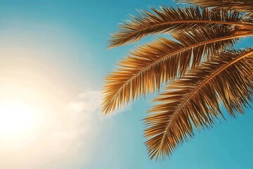 Fototapeta premium Golden Palm Fronds Reaching Across a Clear Blue Sky