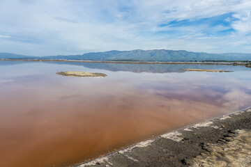 Salt pond with pastel reflections under a wide sky at Alviso Marina County Park, California