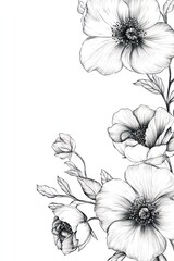 Detailed pencil illustration of several beautiful and elegant flowers