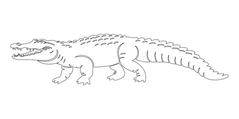 a beautiful corcodile line art silhoutte illustraion art design with white backraund