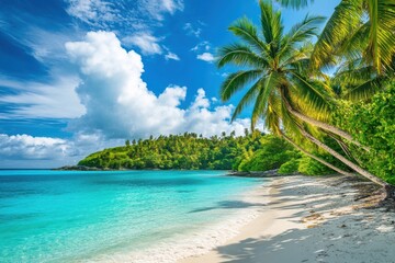 Obraz premium Turquoise waters and palm trees create a tropical paradise at this beach oasis