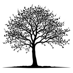 Fototapeta premium tree silhouette vector