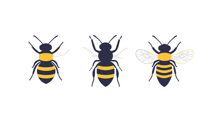 Modern illustration showcasing a set of three stylized bees with distinctive yellow and black patterns