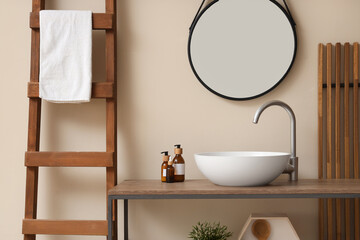 Interior of bathroom with sink, mirror and ladder