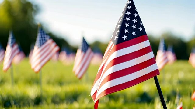 A poignant display of American flags paying homage to veterans.