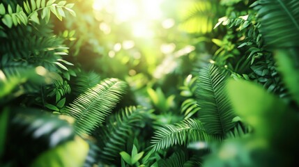 Lush green foliage with sunlight shining through the leaves