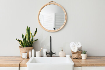 Sink, houseplants and bath accessories near white wall in bathroom